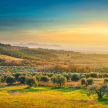 The fascinating landscape of the Tuscan Maremma